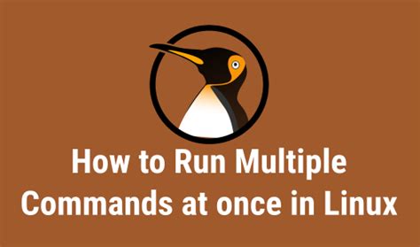 Combine FIND with Other Linux Commands