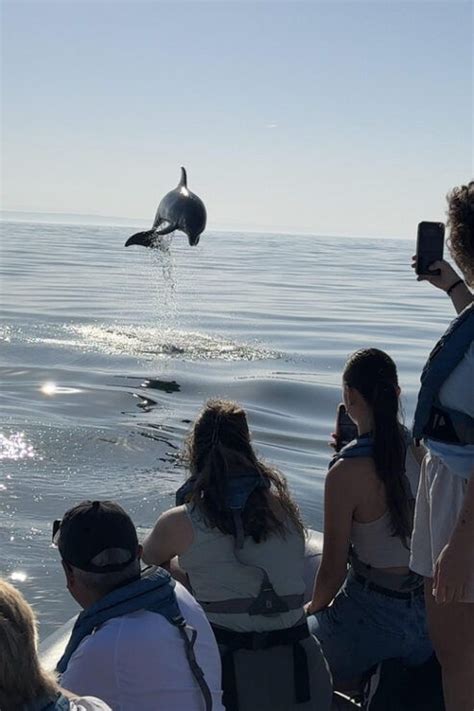 Combining MAAT and Dolphin Tour