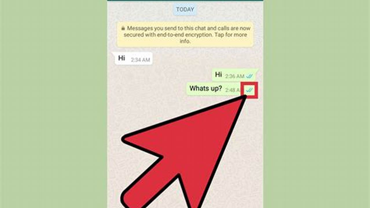 Come Sapere I Messaggi Di Whatsapp
