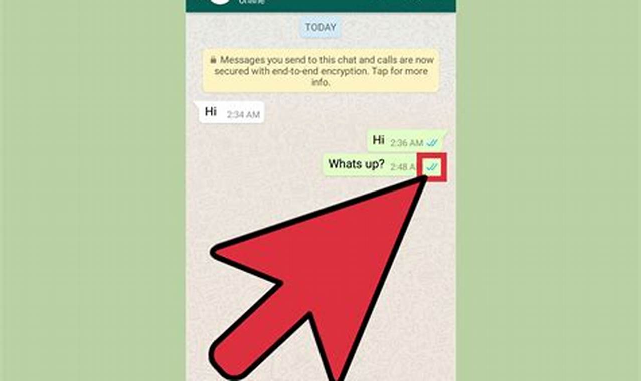 Come Sapere I Messaggi Di Whatsapp