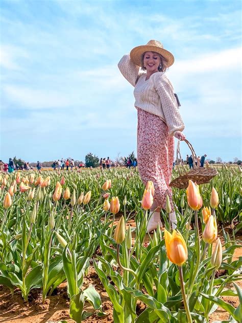 Comfortable Outfit Tulip Field