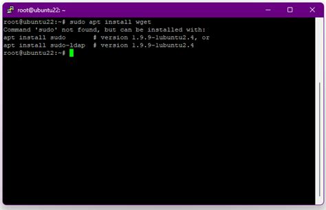 Command Sudo Not Found