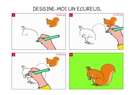 Comment Dessiner Un Ecureuil