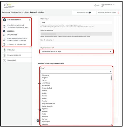 Comment définir la valeur d'un champ de saisie avec JavaScript document.querySelector