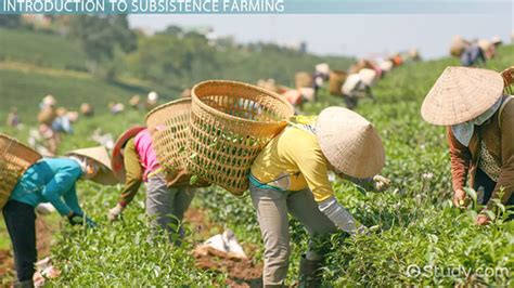 The Geographical Relevance of Commercial Agriculture: Unlocking the True Definition and Significance