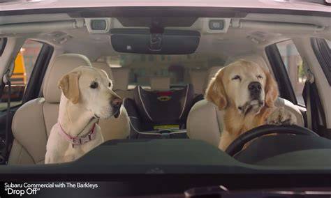 Commercials With Dogs 2018