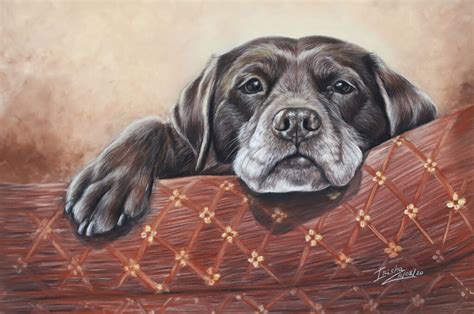 Commissioning Custom Labrador Portraits