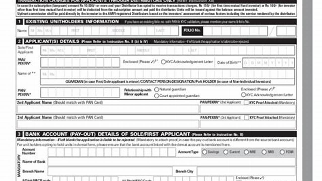 Common Application 2025 Pdf