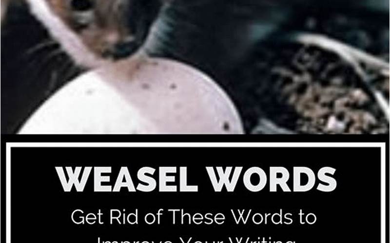 Common Examples Of Weasel Words