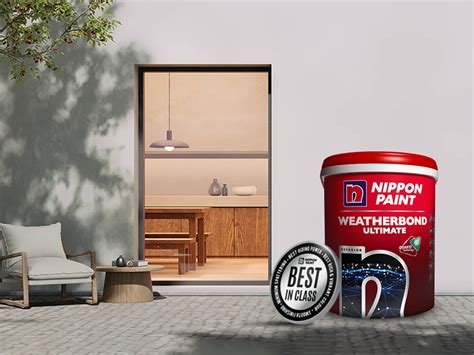 Common Applications of Cc Paint