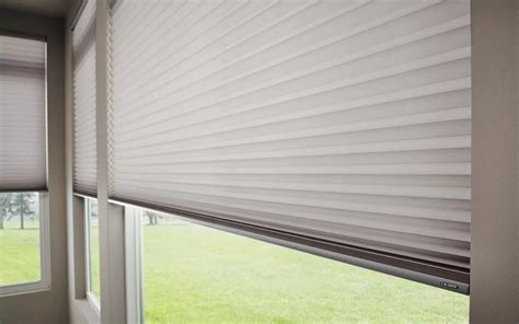Common Blinds Damage