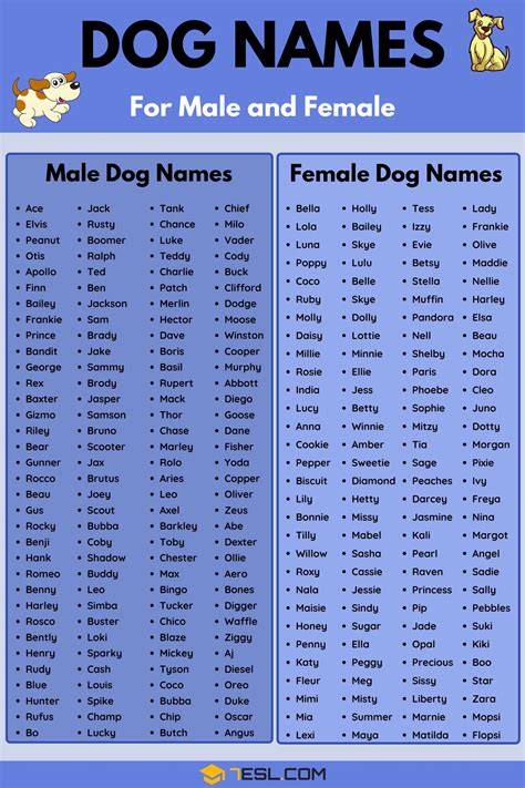 Common Boy Dog Names