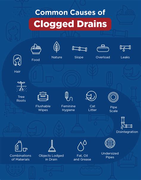 Common Causes of Clogged Drains