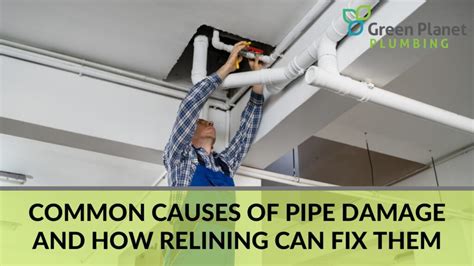 Common Causes of Pipe Damage