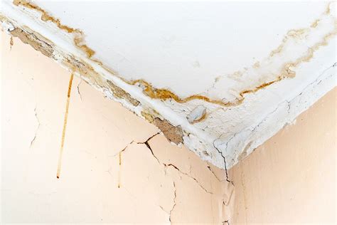 Common Culprits Behind Ceiling Damage