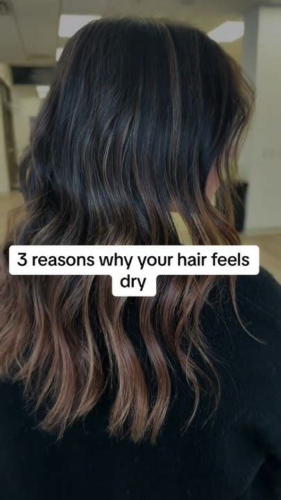 Common Culprits Behind Dry Wavy Hair