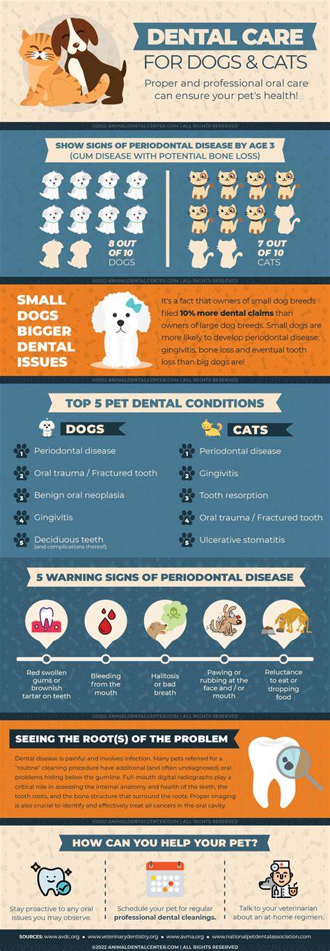 Common Dental Issues in Dogs