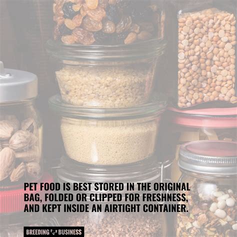 Common Dog Food Storage Mistakes to Avoid