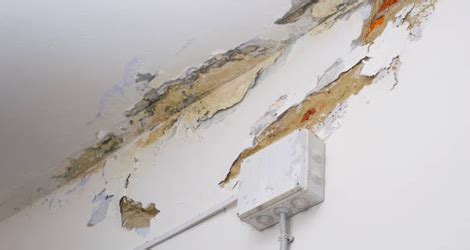 Common Drywall Damage Problems