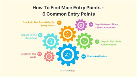 Common Entry Points You Must Check