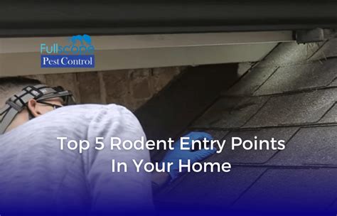 Common Entry Spots You Need to Check