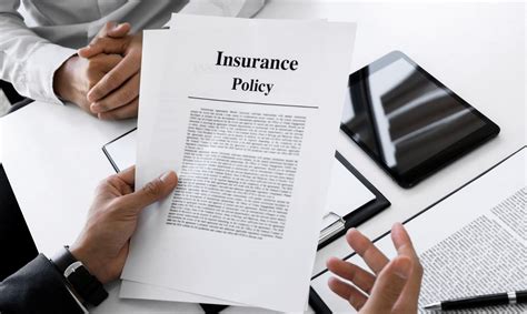 Common Exclusions in Pet First Insurance Policies