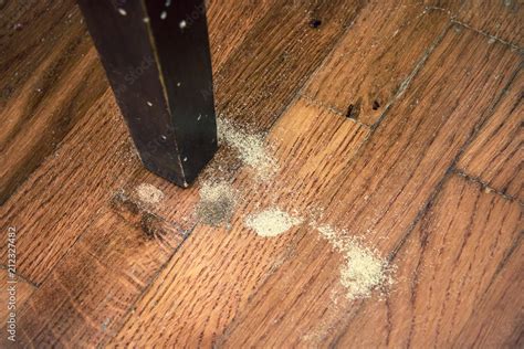 Common Furniture Damage