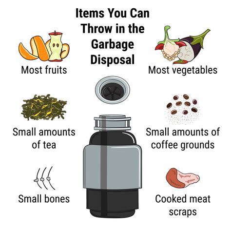Common Garbage Disposal Issues