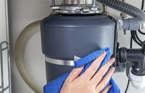 Common Garbage Disposal Problems in Denton