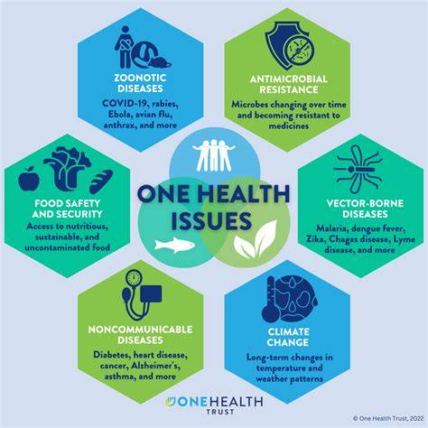 Common Health Concerns to Watch Out For