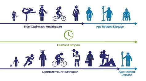 Common Health and Lifespan Considerations