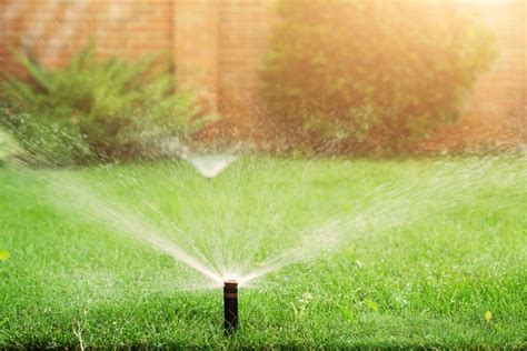Common Irrigation System Problems in Orlando
