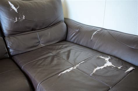 Common Leather Furniture Damage