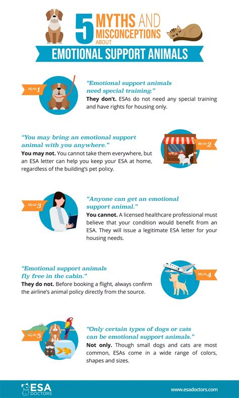 Common Misconceptions About Emotional Support Animals