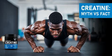 Common Myths About Creatine