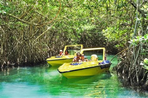 Common Questions About Mangrove Tour