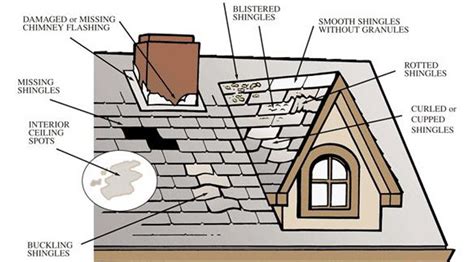 Common Roof Damage Problems Plano