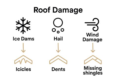 Common Roof Damage Signs