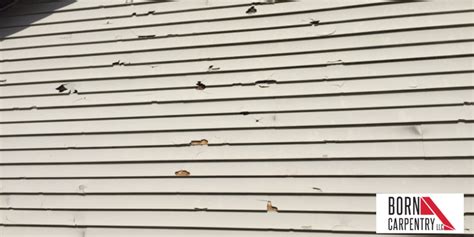 Common Siding Damage