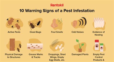 Common Signs of Pest Presence
