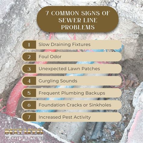 Common Signs of Sewer Line Problems