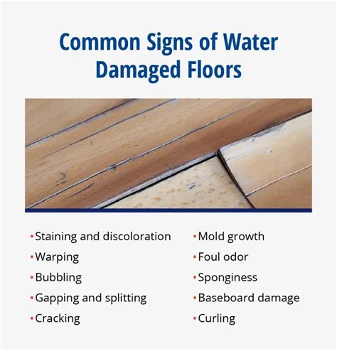 Common Signs of Water Damage