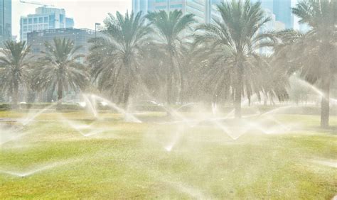 Common Sprinkler Problems South Tampa