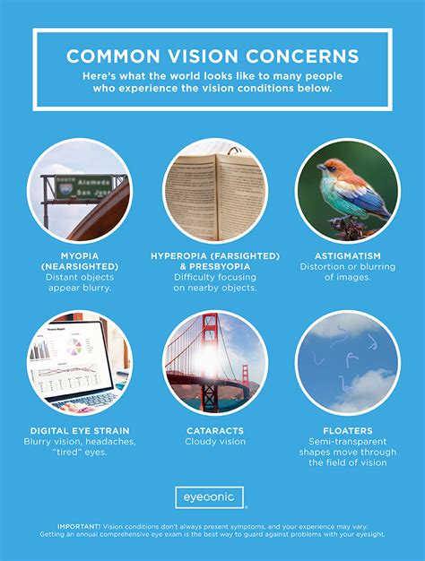 Common Vision Concerns in Wayne Residents