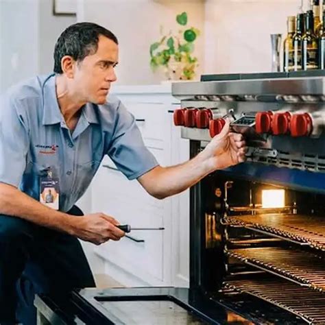 Common Wolf Stove Problems Repair