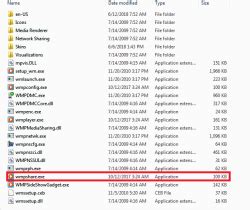 Common errors sssociated with WMPshare.exe