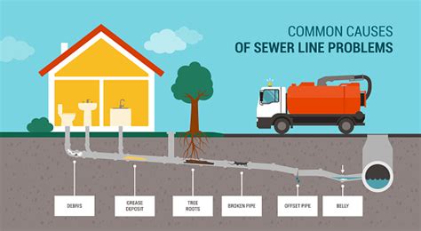 Common sewer line problems in Springfield