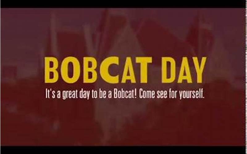 Community Involvement In Texas State Bobcat Day