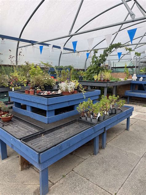 Community Connection Craigslist Williamsport Brings Locals Together