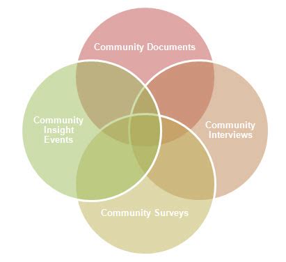Community Insights